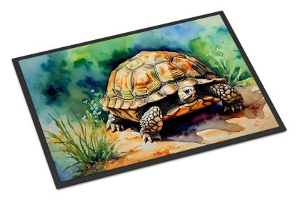 Turtles Tortoises Doormat Front Door Mat Indoor Outdoor Rugs for Entryway, Non Slip Washable Low Pile, 24H X 36W