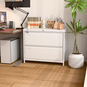 Metal Lateral File Cabinet, 2 Drawers Lateral Filing Cabinet, Office Wide Storage File Cabinet For Letter,Legal,A4 Size, Assembly Required (Color: White)